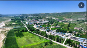 ��Ժ������߶��ã������и��ȹ��򣺡�ͥԺ���á�������塰�ա���ֵ��