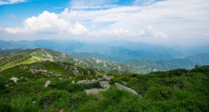 ҹ԰ʵ֡յءһ廯ǻ۹ܿ