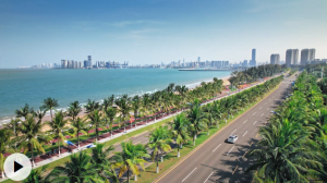 ѧϰ��֪��حȫ����� ����ǹ��еġ���Ҫ�Ż�������չ�½׶�